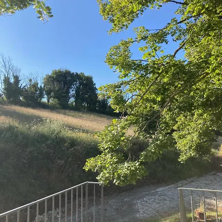 L'amandiere 3*