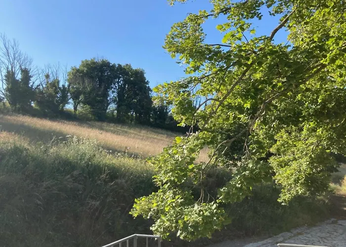 L'amandiere 3*